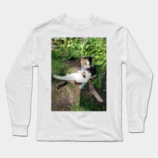 Cat in the garden Long Sleeve T-Shirt